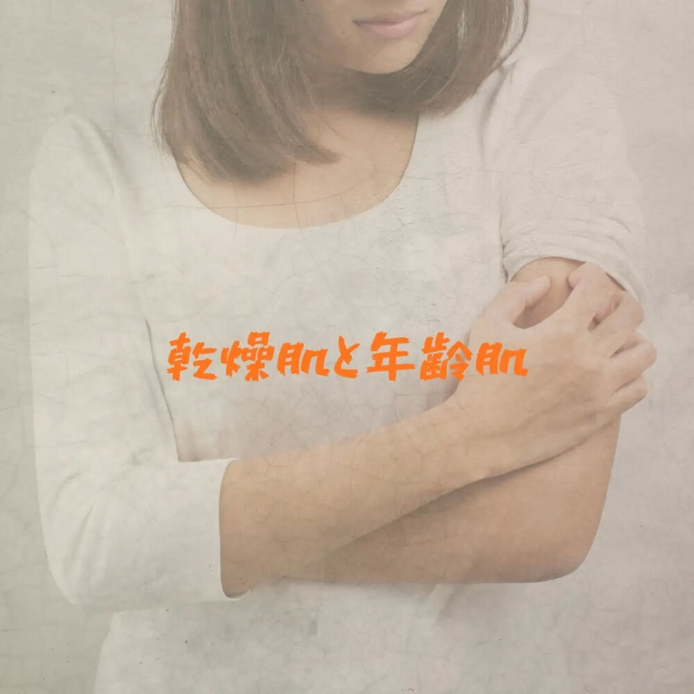 画像3055