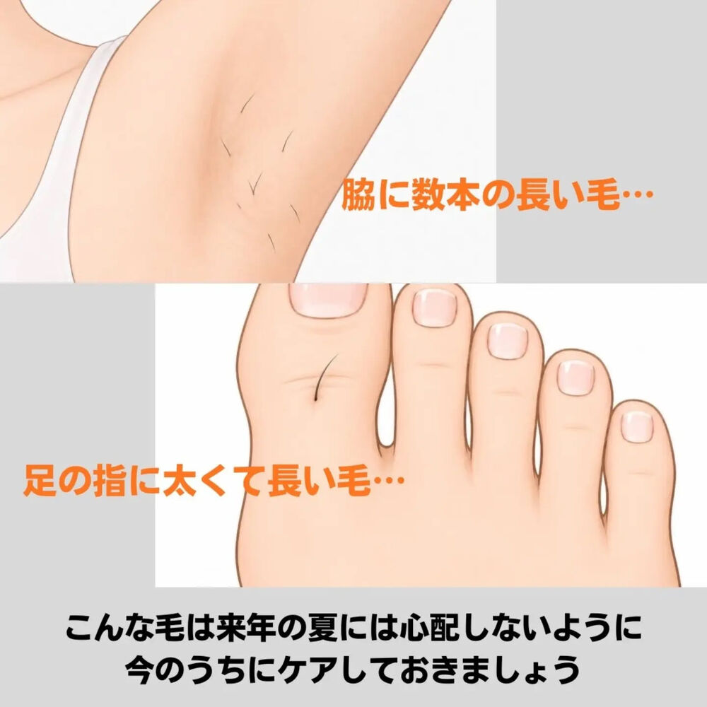 画像3095