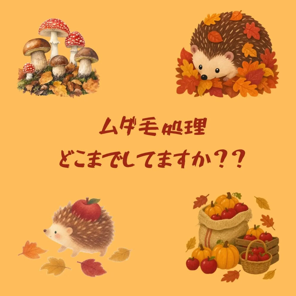 画像3101